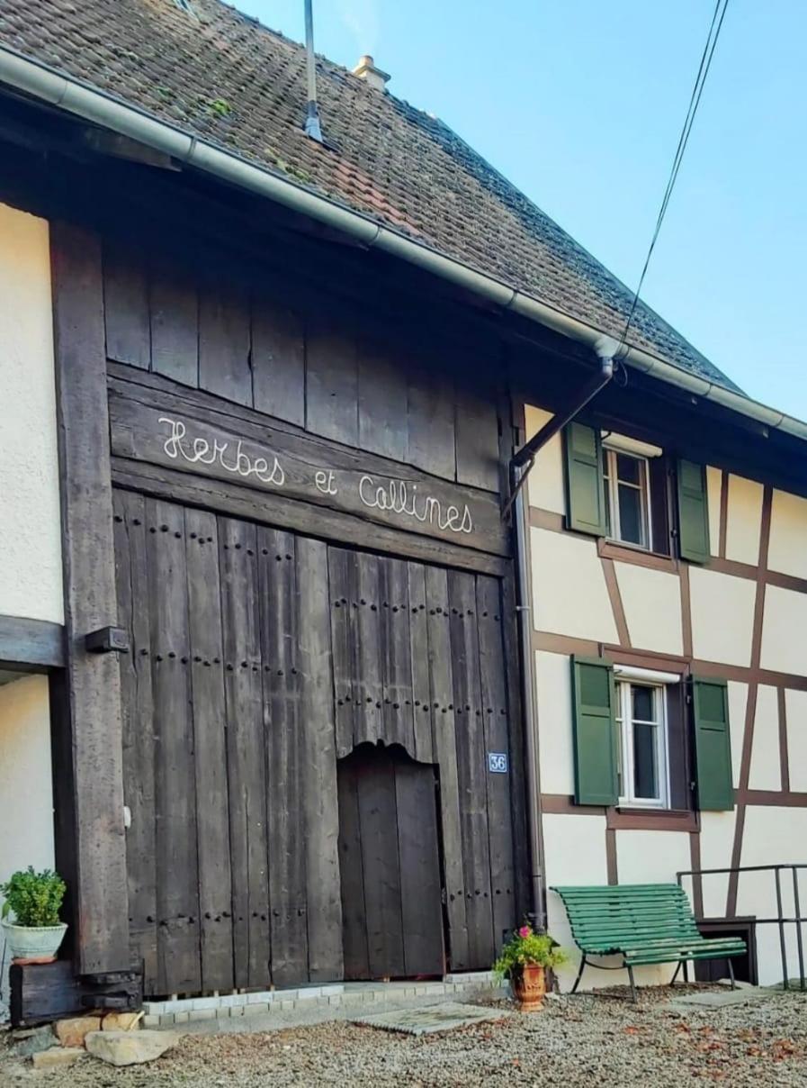 Herbes Et Collines Winkel